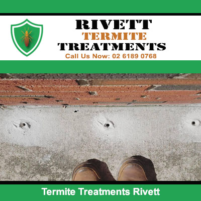 Termite treatments visible above the concrete floor in Rivett